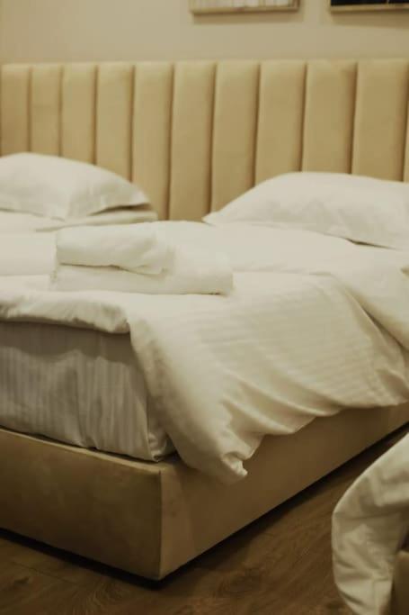 Grandpa House App.1 Apartman Tirana Kültér fotó