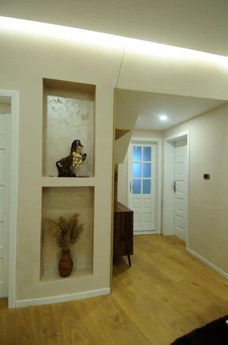 Grandpa House App.1 Apartman Tirana Kültér fotó